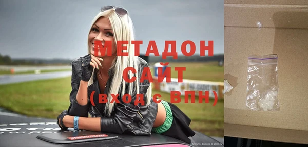 сатива Ельня