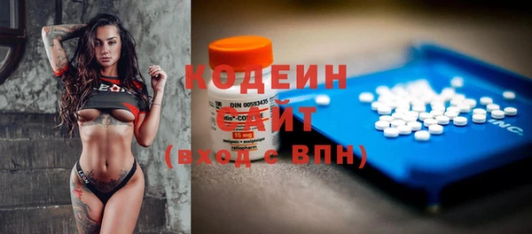 мдпв Елабуга