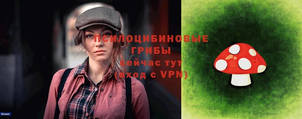 сатива Ельня