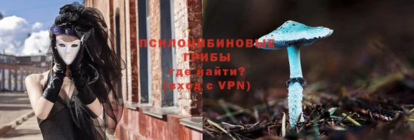 мдпв Елабуга