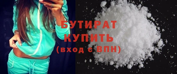 сатива Ельня