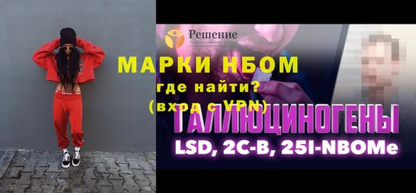 сатива Ельня