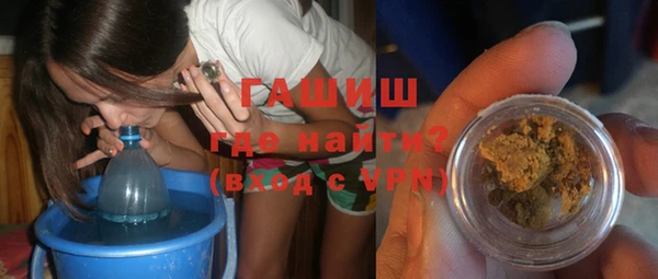 сатива Ельня