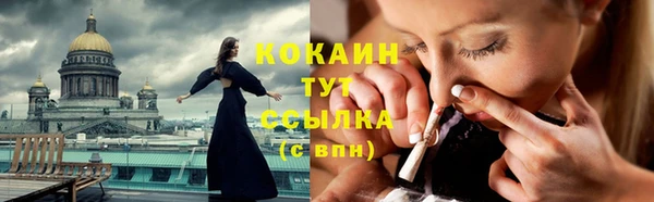 стафф Елизово