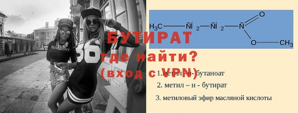сатива Ельня