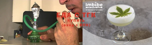 мдпв Елабуга