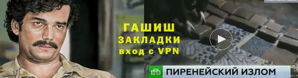 сатива Ельня