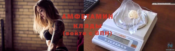 мдпв Елабуга