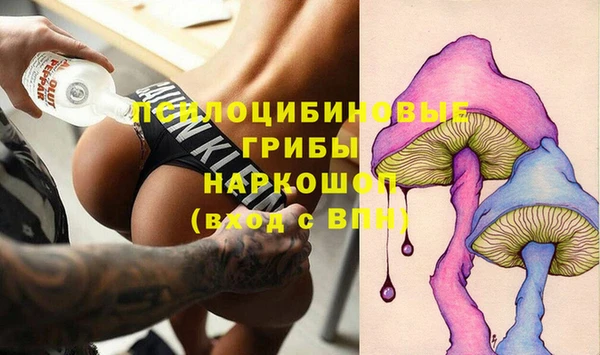 стафф Елизово