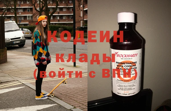 мдпв Елабуга