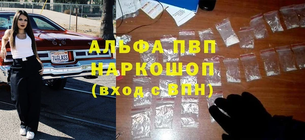 сатива Ельня