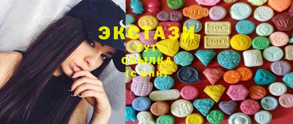 мдпв Елабуга