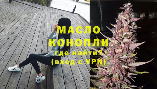 сатива Ельня