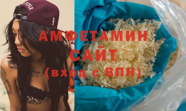 сатива Ельня