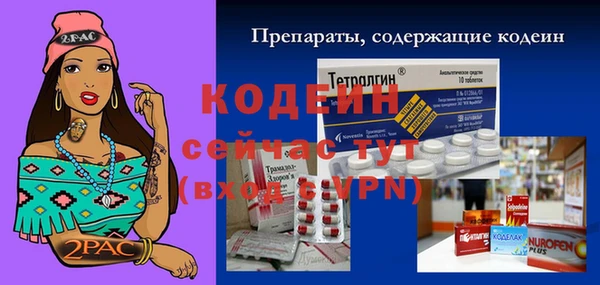 мдпв Елабуга