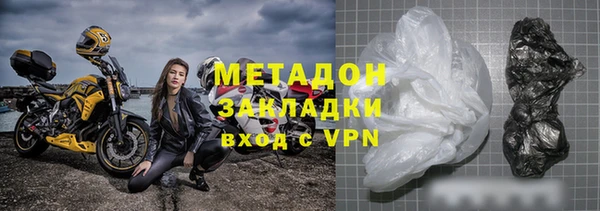сатива Ельня