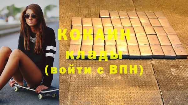 стафф Елизово