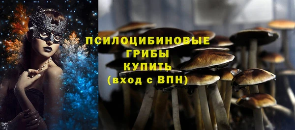 сатива Ельня