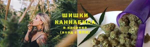 мдпв Елабуга